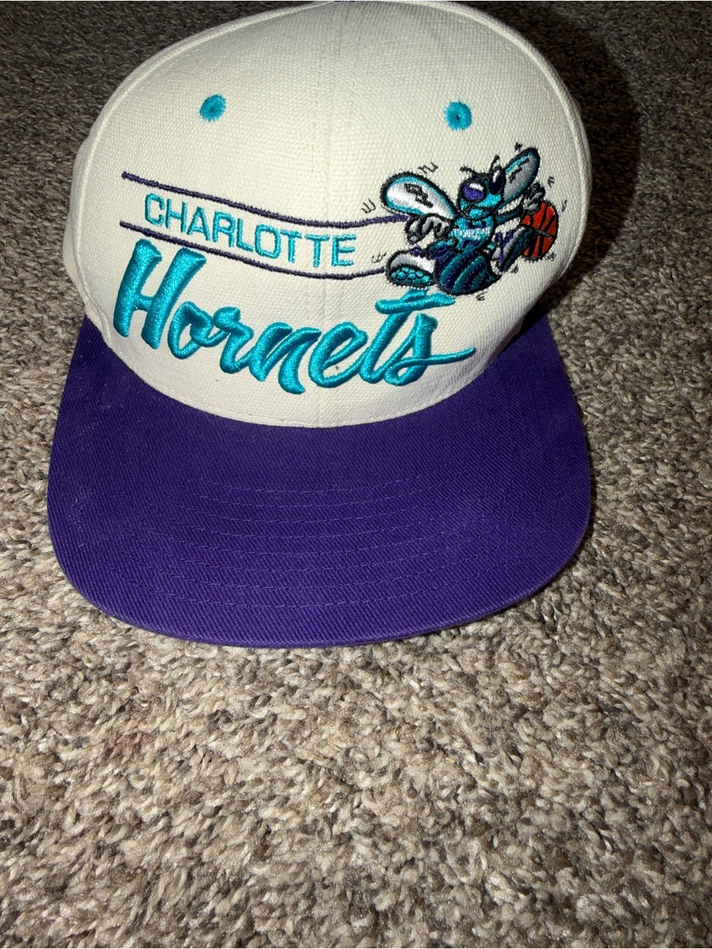 Mitchell & Ness Charlotte Hornets Basketball 2014 Hat NBA Adjustable Pruple Cap